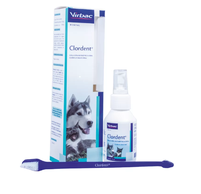 CLORDENT X 120 ML SOLUCION ORAL