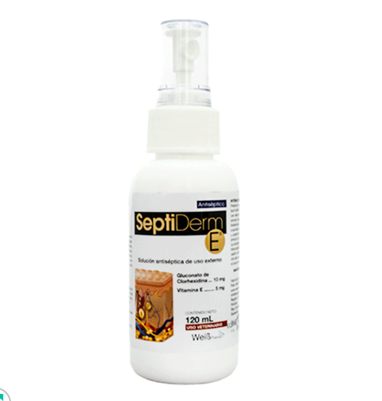 SEPTIDERM X 120 ML