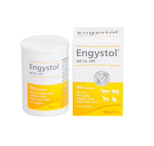 ENGYSTOL TABLETAS (1 TABLETA)