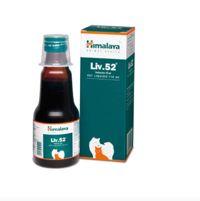 LIV 52 X 110 ML