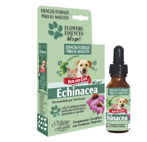 ESENCIA FLORAL ECHINASEA NF X 25 ML